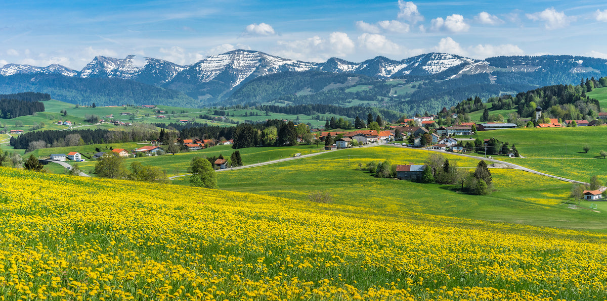 Slider Ökokiste Allgäu